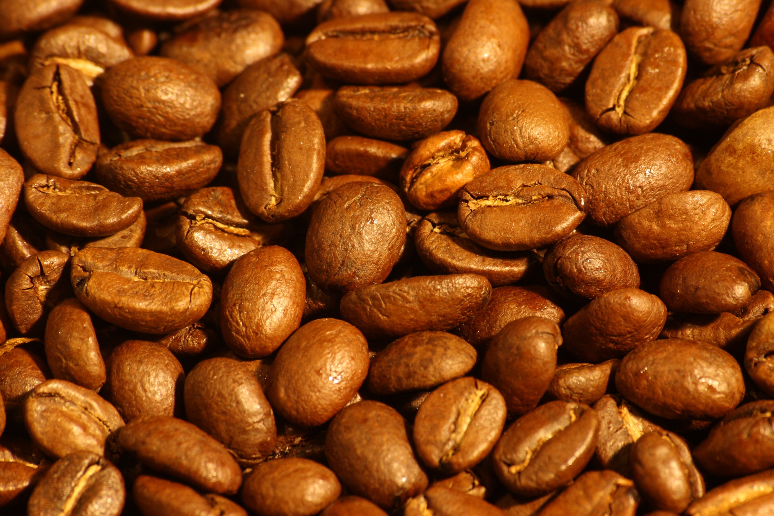Close-up of roasted Arabica coffee beans