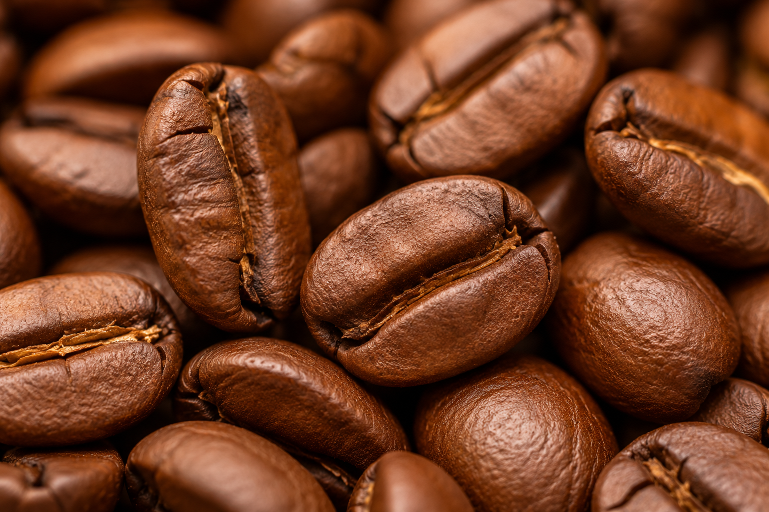 Freshly roasted Colombian Arabica coffee beans